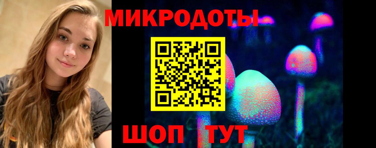 Галлюциногенные грибы Psilocybine cubensis Арзамас