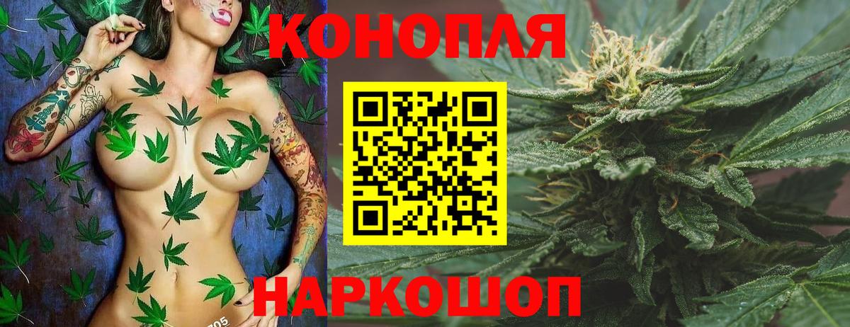 Марихуана конопля  Вход с VPN  Конопля White Widow  Арзамас 